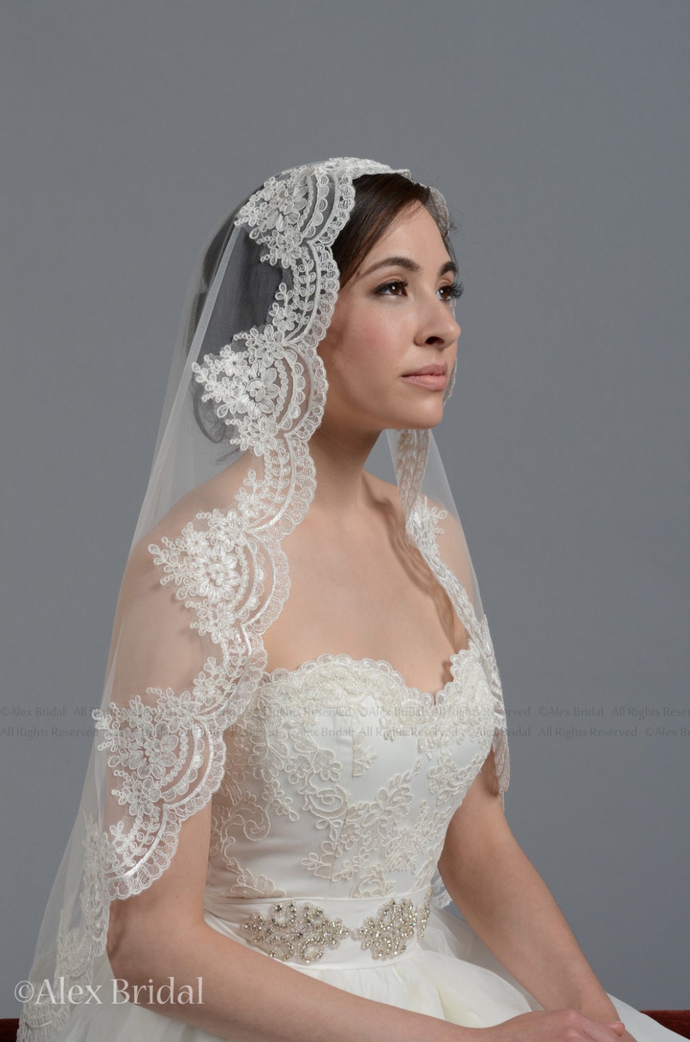 wedding veil, bridal veil, mantilla veil, elbow length veil, alencon lace veil, wedding veil ivory, fingertip length veil