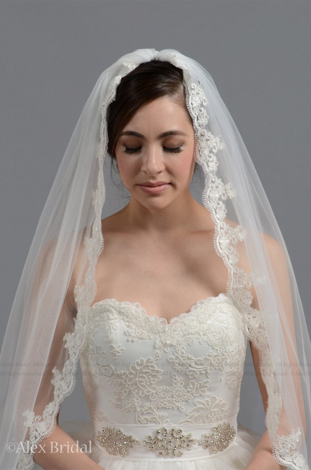 wedding veil, bridal veil, chapel length veil, alencon lace veil, wedding veil ivory
